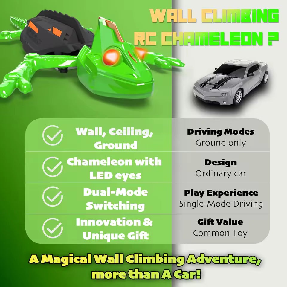 Northwind Goods™ Wall Crawler Gecko